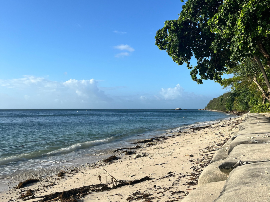 Fitzroy Island National Park景点图片