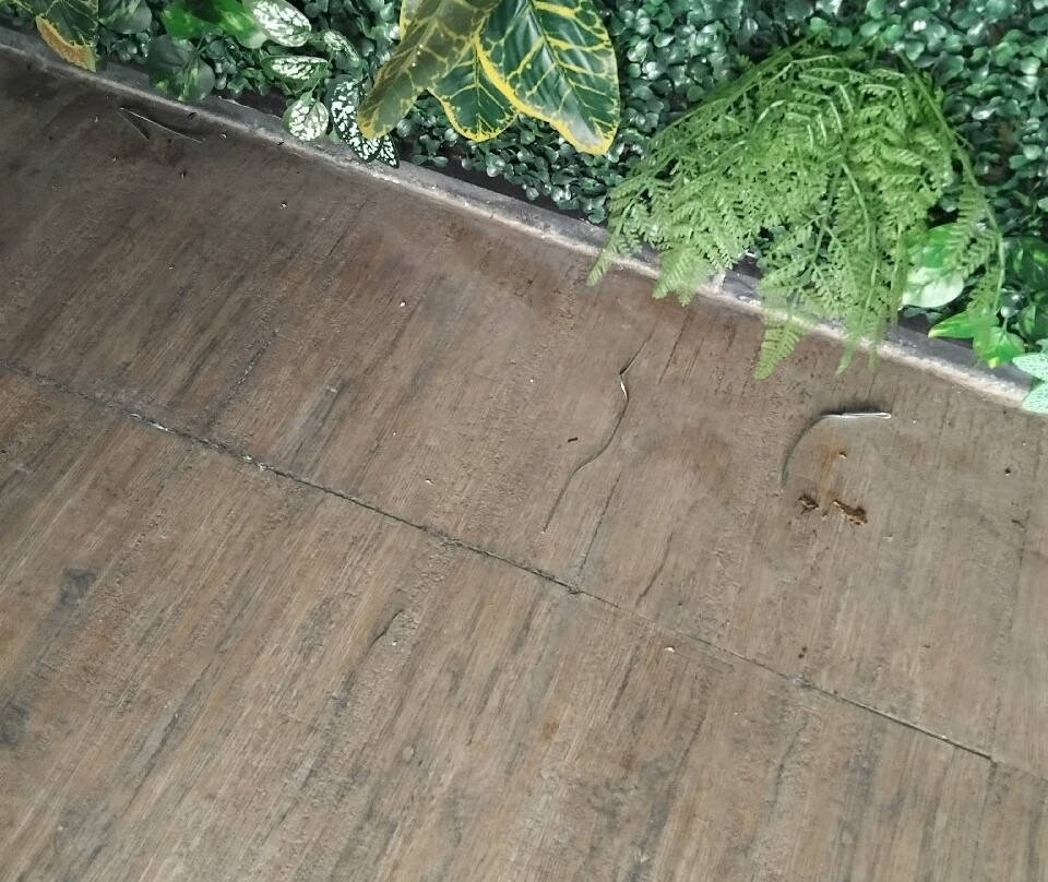 卡塞雷斯别墅酒店主图