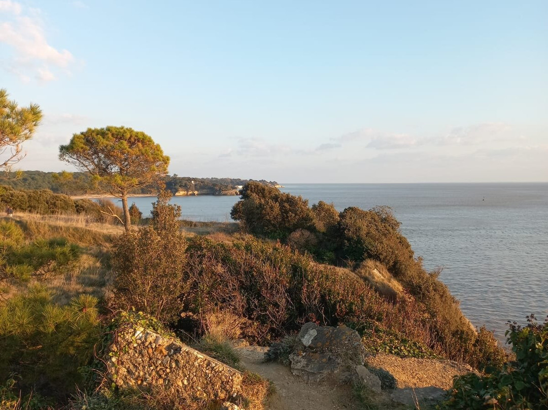 Pointe de Suzac景点图片