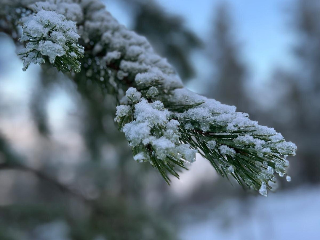 Wildmaker Lapland-Muonio必去景点