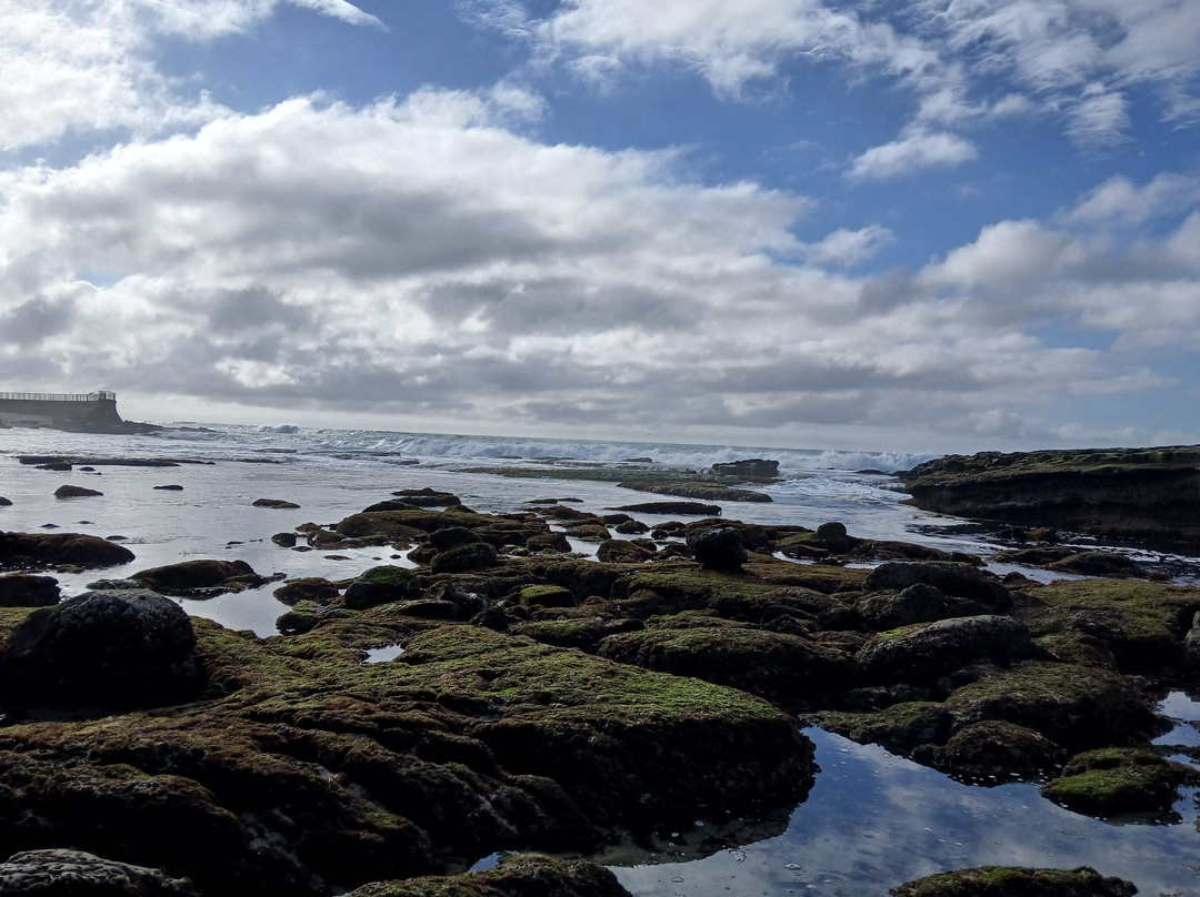 Shell Beach Tide Pools-拉荷亚必去景点