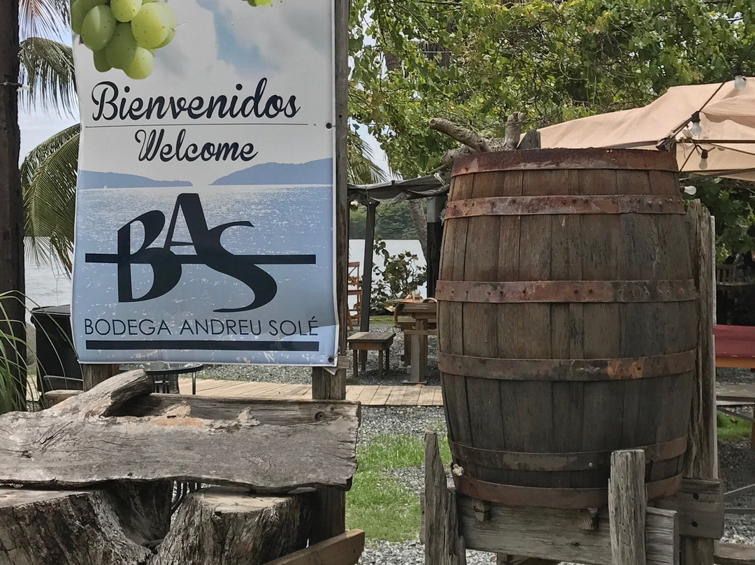 Bodega Andreu Sole景点图片