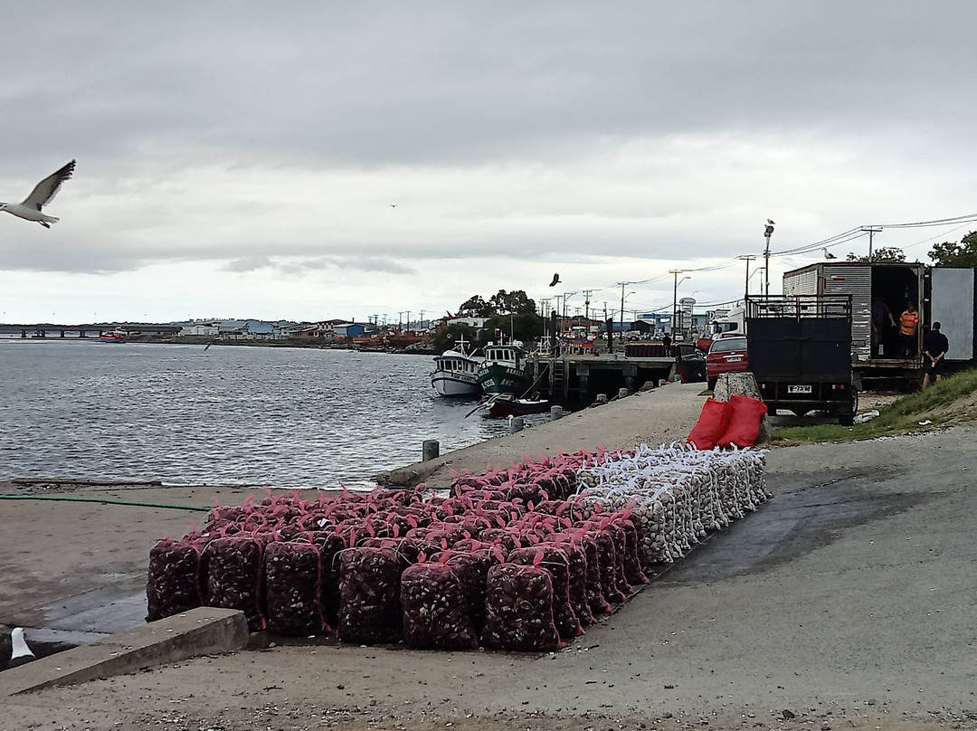 Muelle Pudeto景点图片