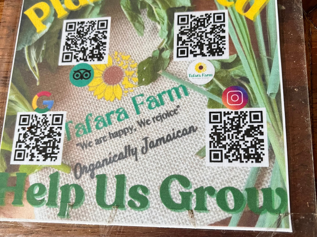Tafara Farm Jamaica景点图片