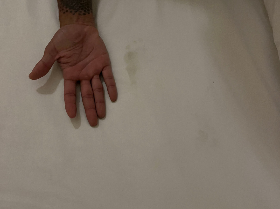 梅赛德斯帕伦克别墅酒店主图