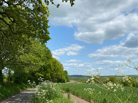 The Oast Studio-Hartfield必去景点