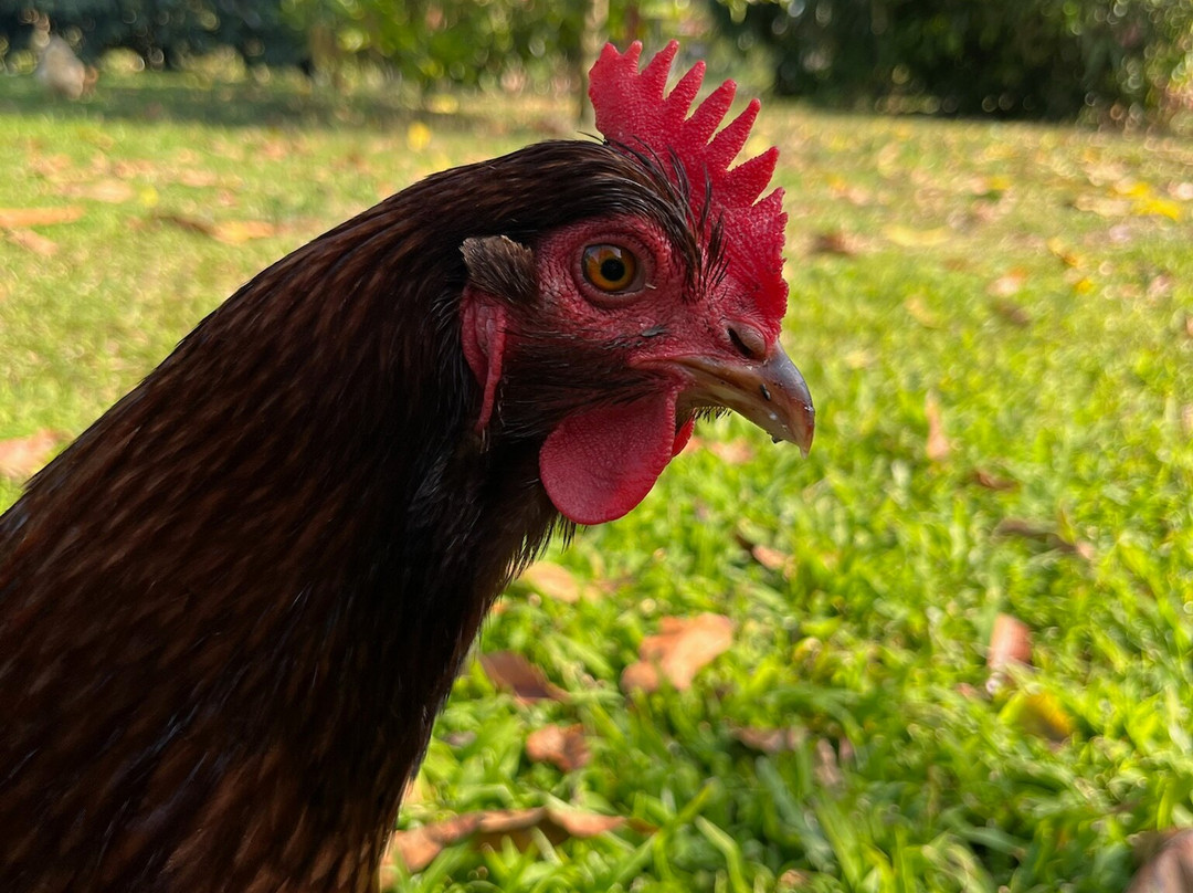 阿洛哈宾馆主图