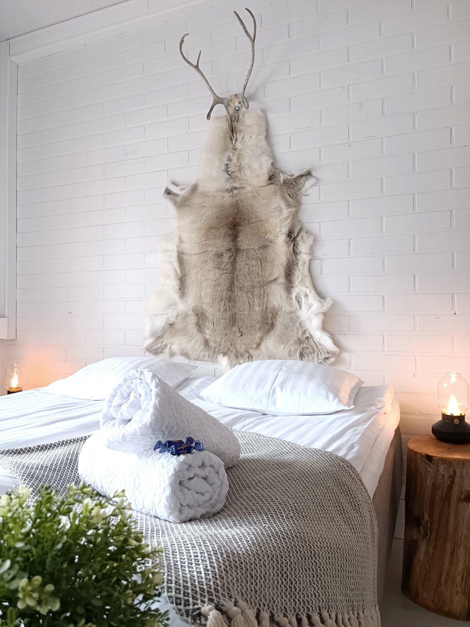 Goiglo Hotel & Hostel-客卧