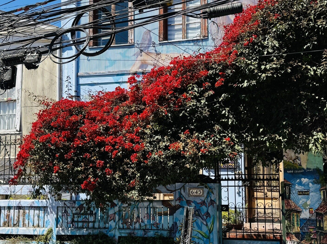 Miel de Oveja-瓦尔帕莱索必去景点