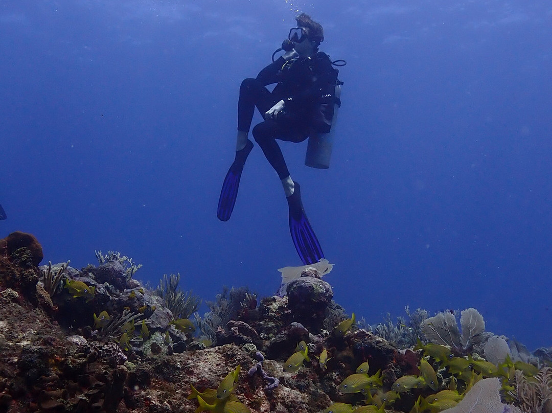 Aquanauts Dive Adventures-从莫雷洛斯港必去景点