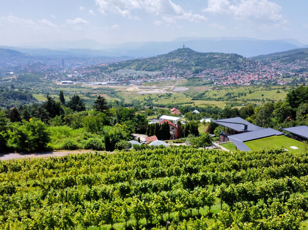 Multi Activity  Wine&Dine Tour