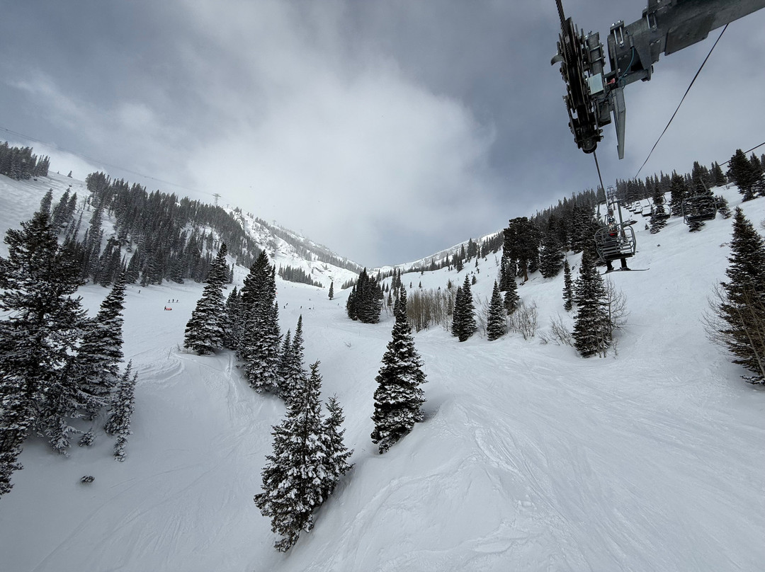 Jackson Hole Mountain Resort-提顿村必去景点