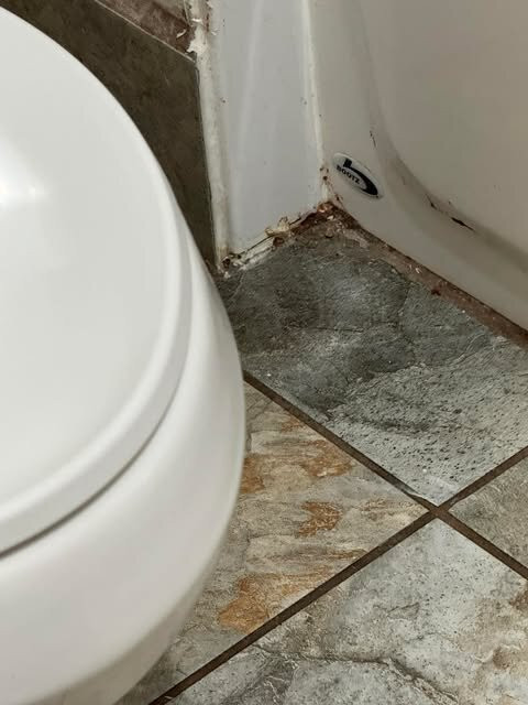 Quality Inn Aberdeen主图