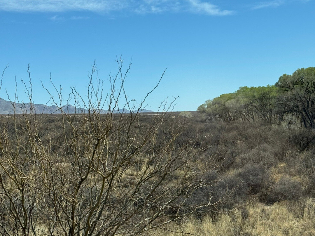San Pedro Riparian National Conservation Area-谢拉维斯塔必去景点