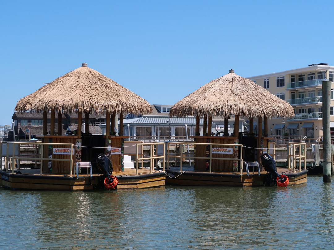 Rehoboth Bay Marina-Dewey Beach必去景点