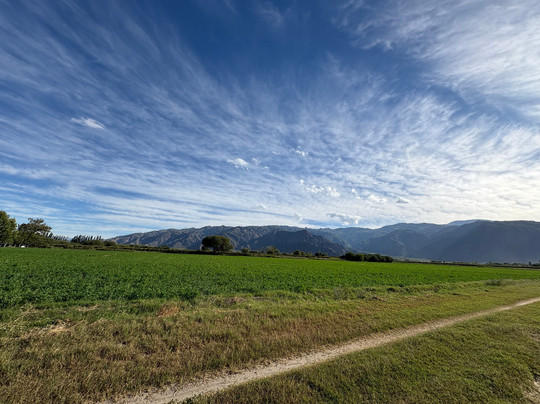 Cabras de Cafayate-卡法亚特必去景点