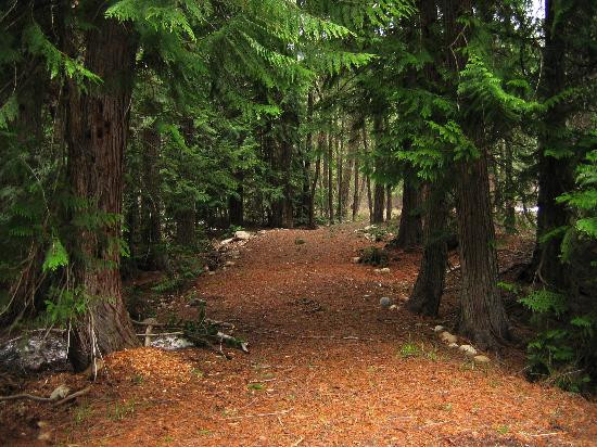 North Cascades Basecamp主图