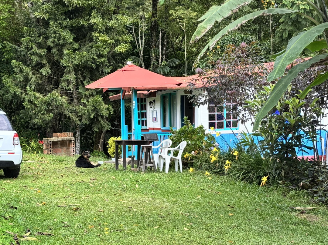 Finca Hotel Cabanas y Flores主图