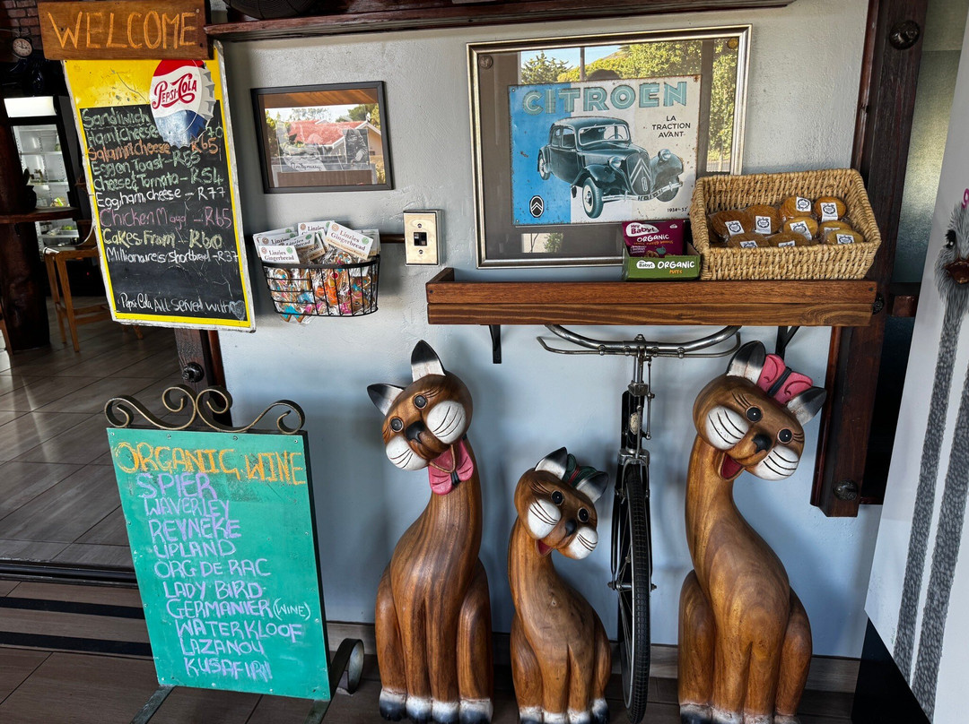 Organic Point Coffee