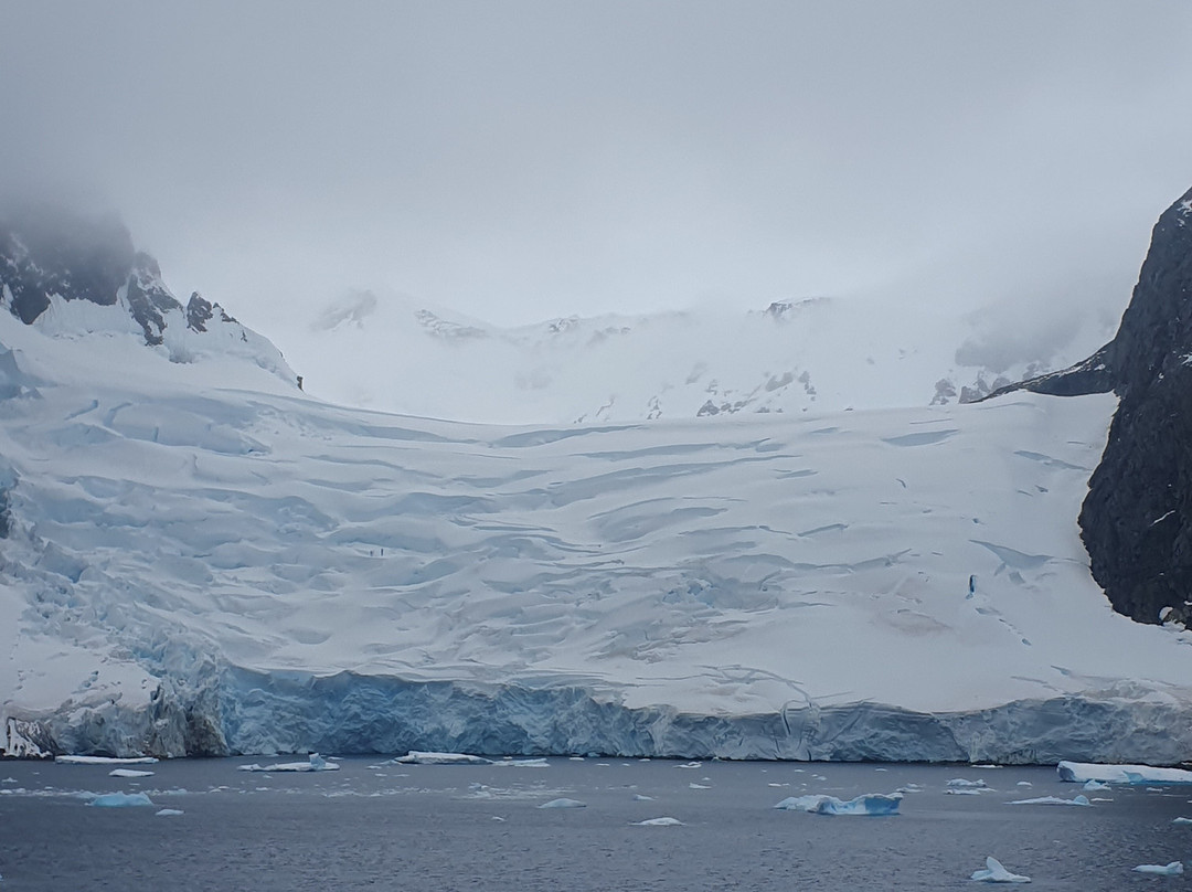 Lemaire Channel-Antarctic Peninsula必去景点