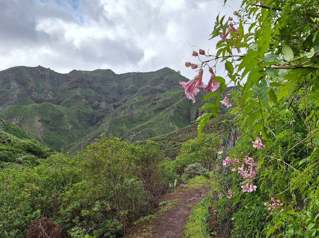 Aventura Wanderungen-特纳里夫必去景点