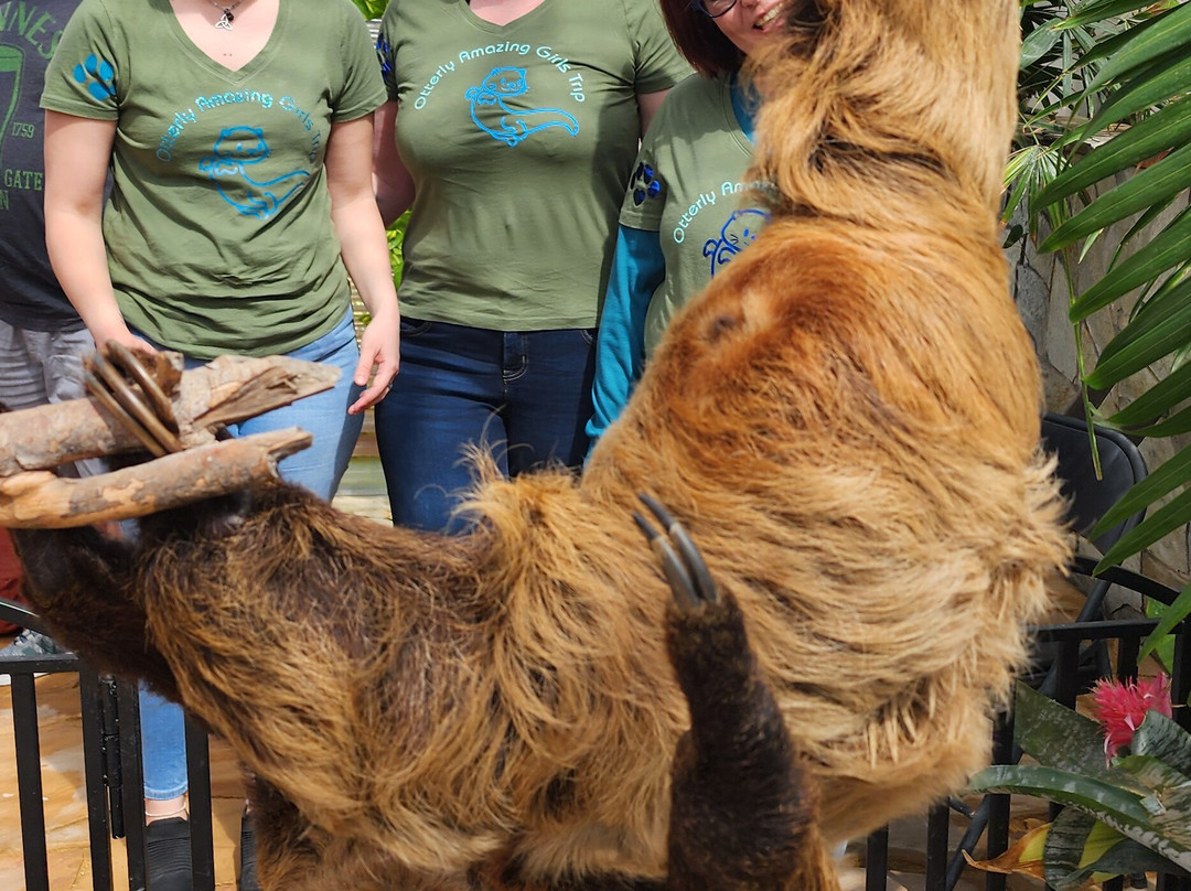 Nurtured By Nature-瓦利森特必去景点