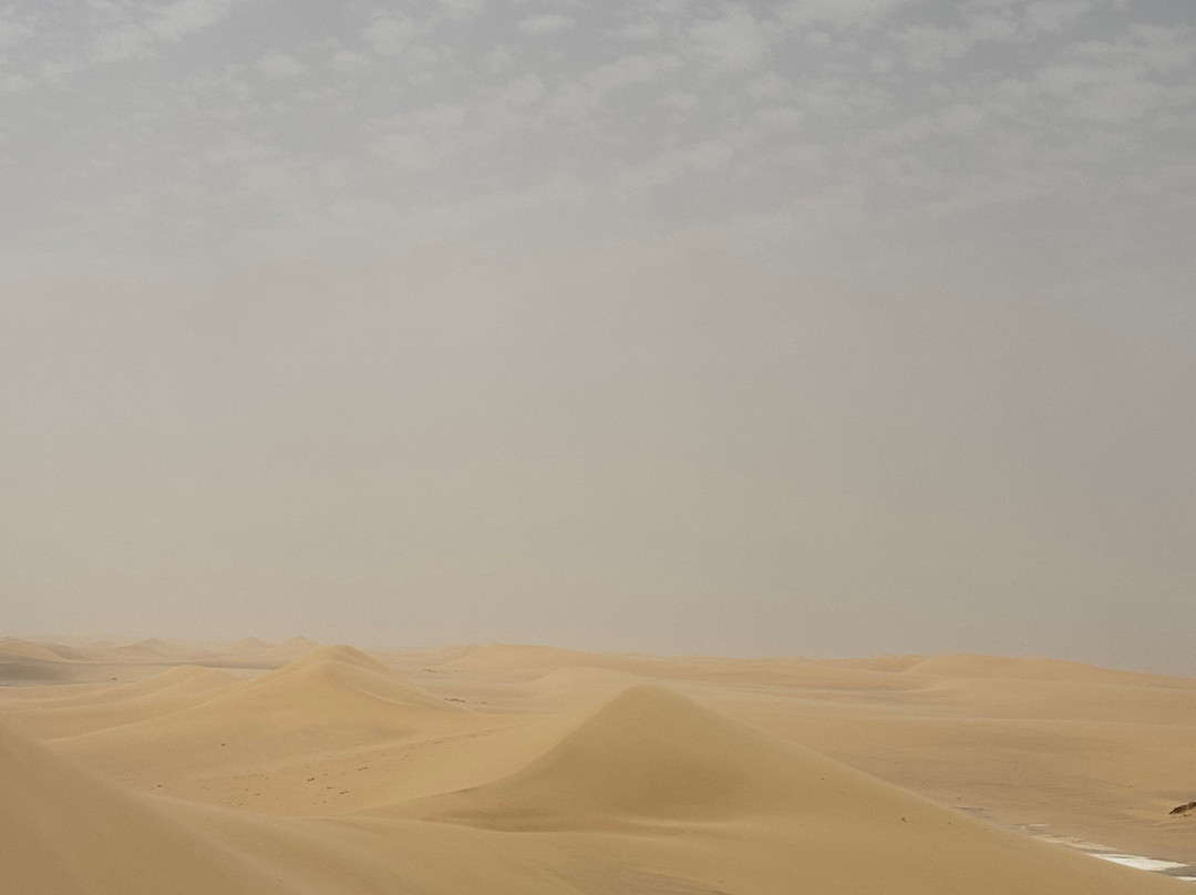 Jimmy Egypt Safari景点图片
