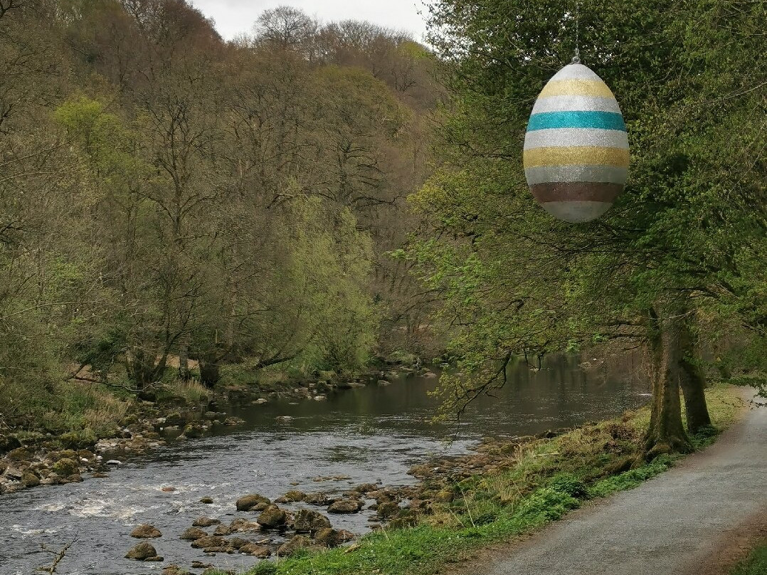 Bolton Abbey Wharfedale景点图片