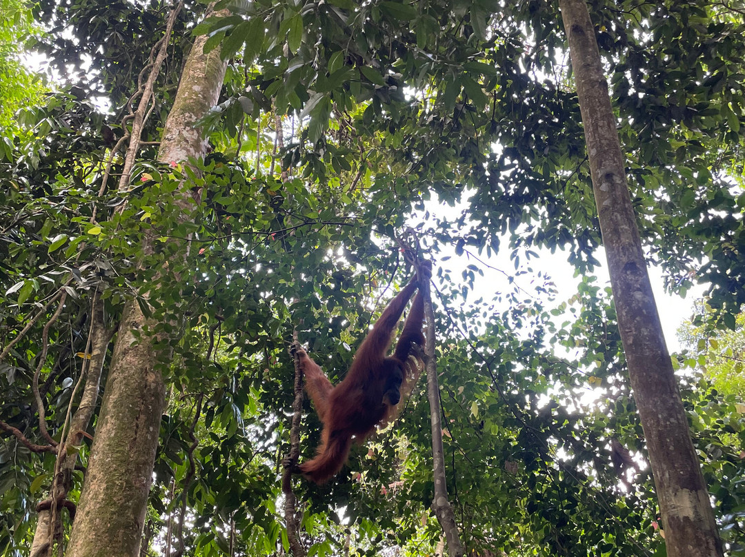 Back to Nature Ecotourism主图