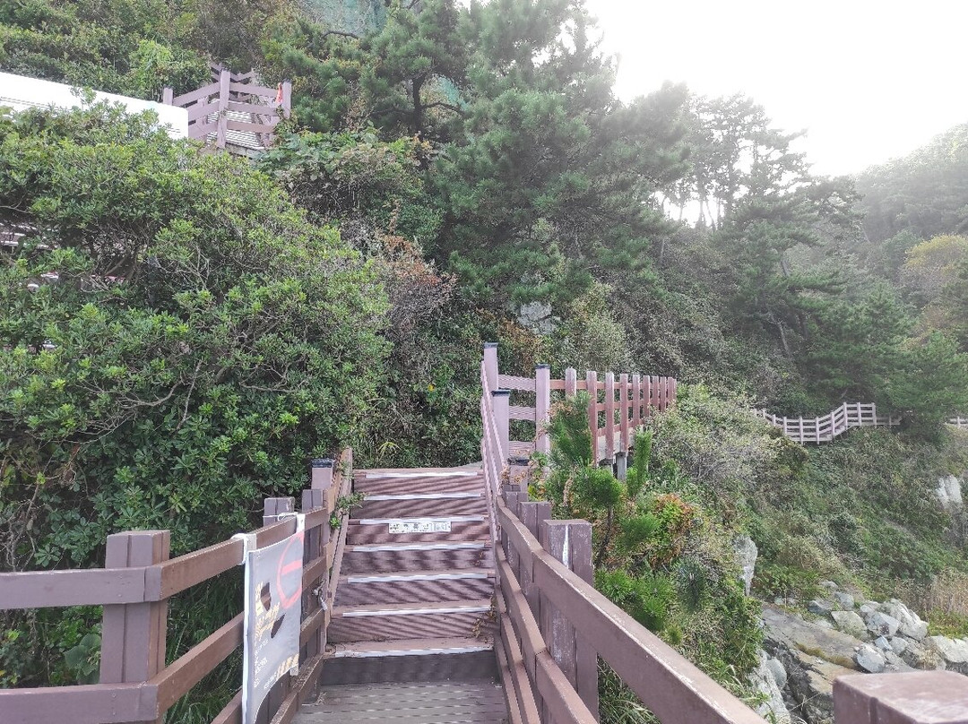 Igidae Park-釜山必去景点