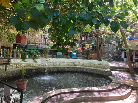 Focus Tours-厄吕代尼兹必去景点