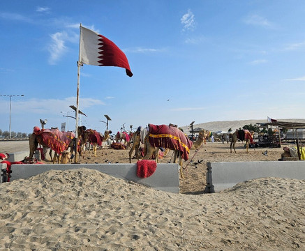 Skyline Dunes-多哈必去景点