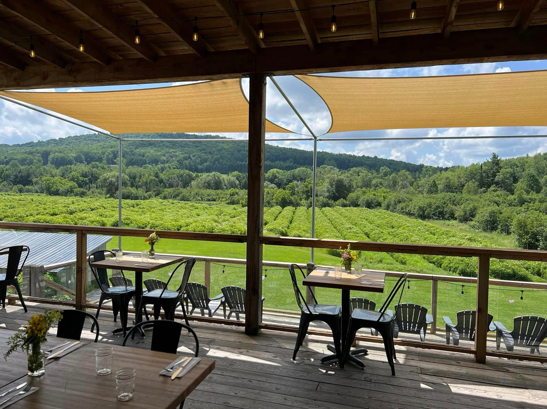 Vitalité Sureau Elderberry