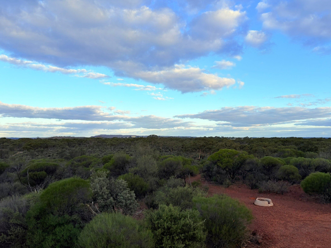 Karlkurla Bushland Park-卡尔古利必去景点