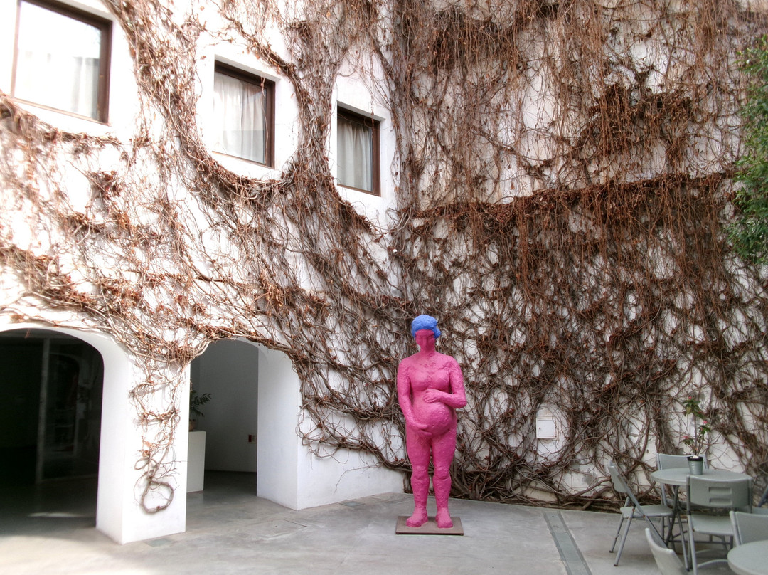 Museum Jorge Rando景点图片