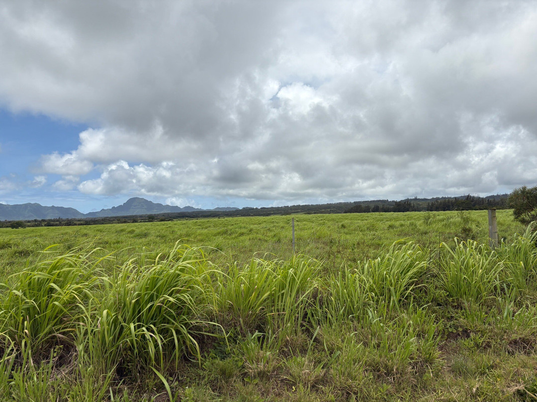 Mountain Tubing-利胡埃必去景点
