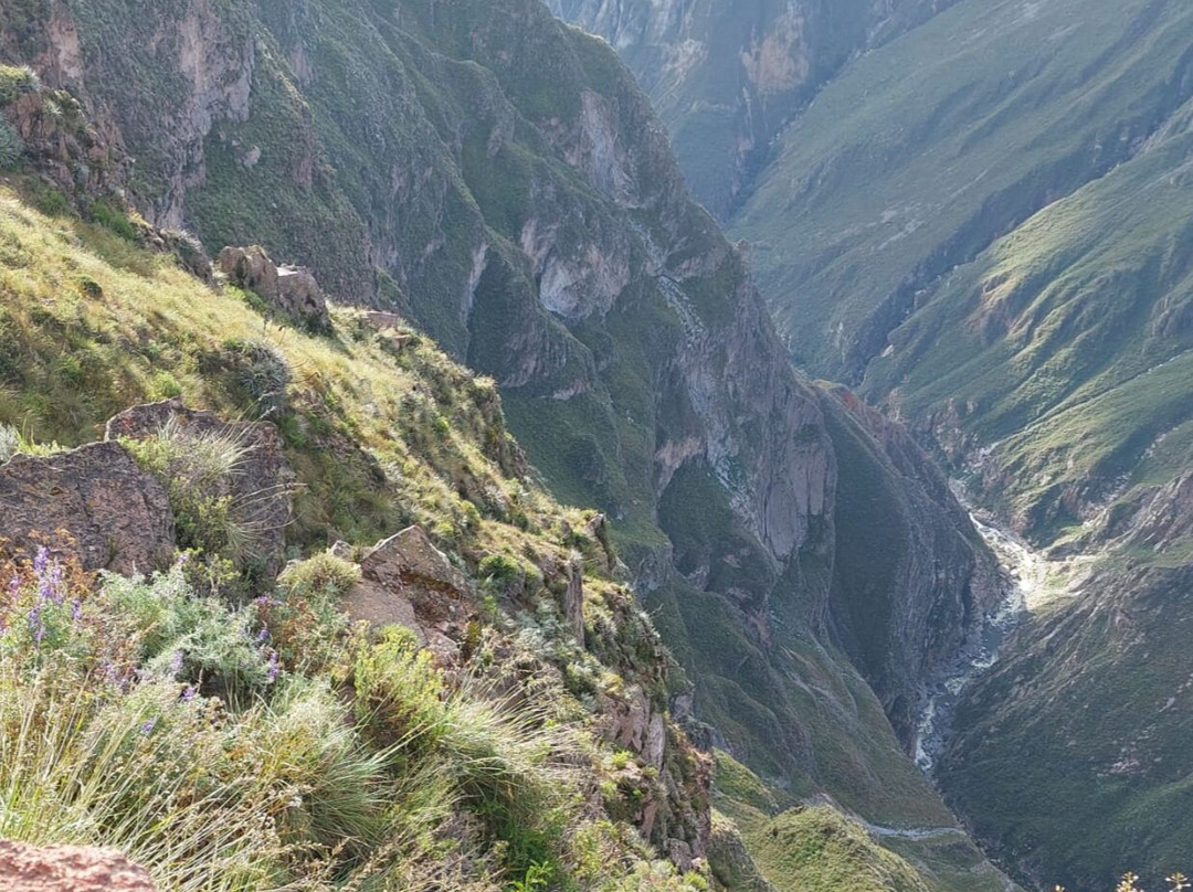 Peru Adventure Tours-阿雷基帕必去景点