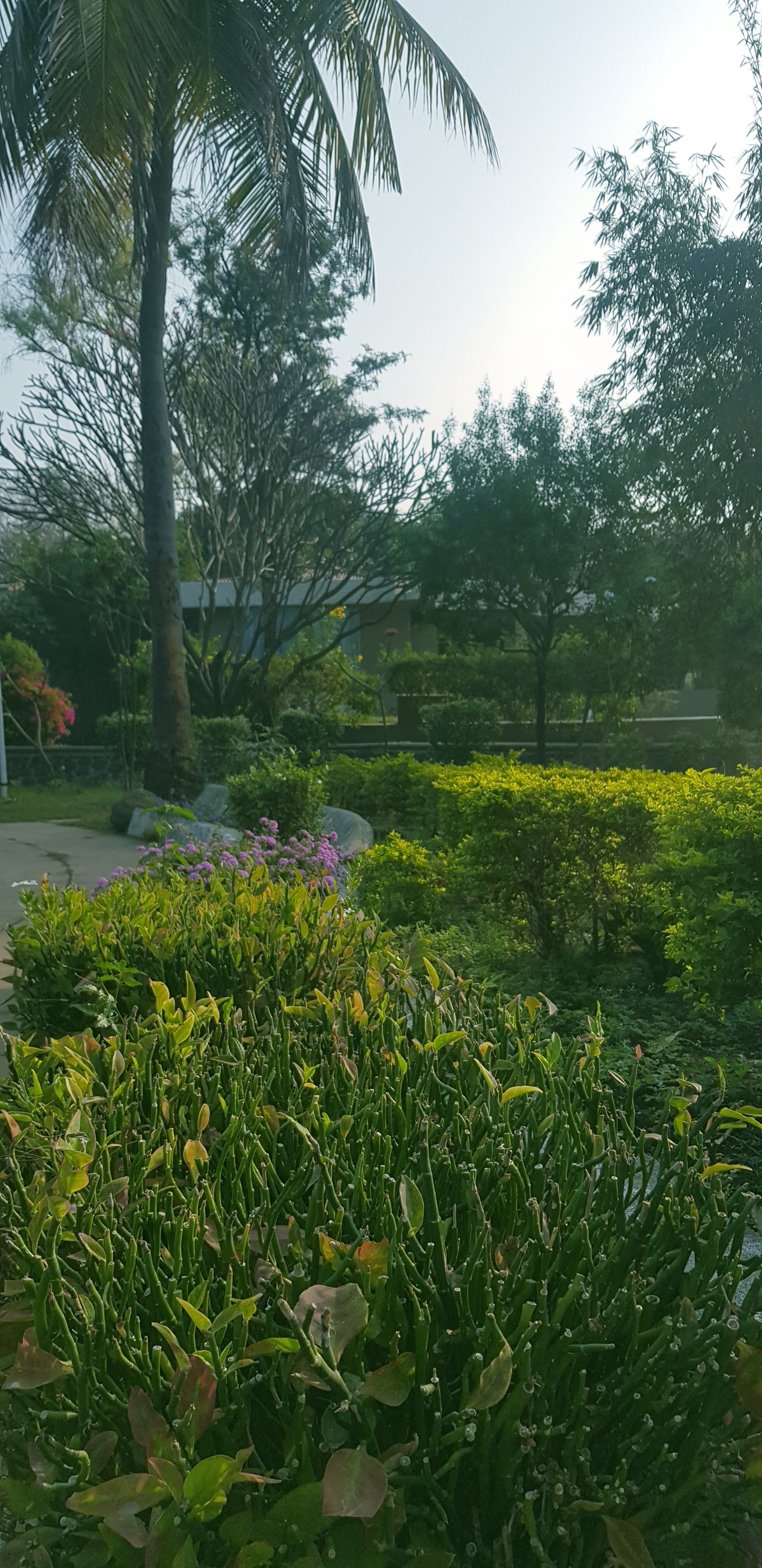 The Meadows Resort and Spa-浴室