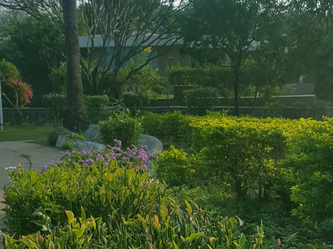 The Meadows Resort and Spa主图