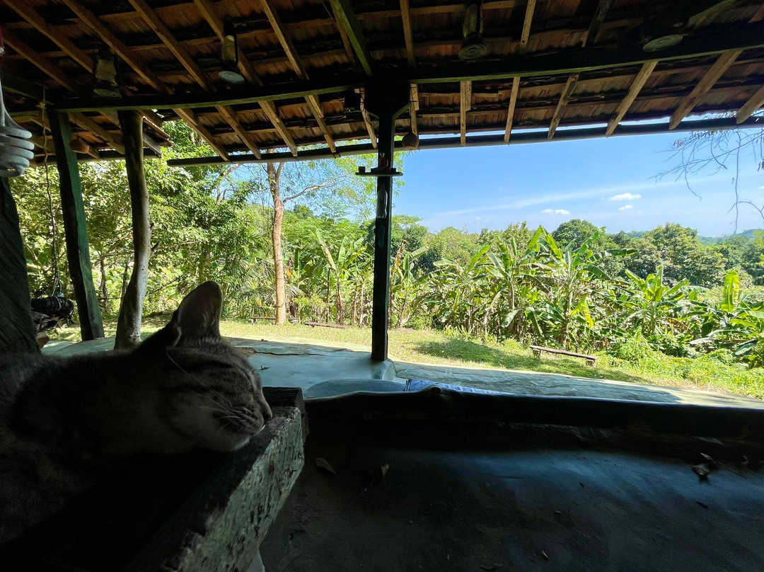 Ashram Sri Lanka-唐卡拉必去景点