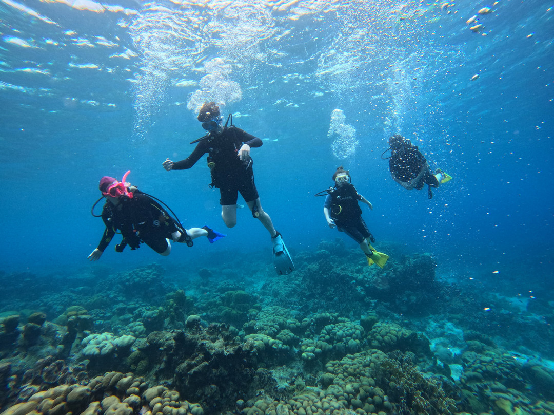 JADS Dive Center景点图片