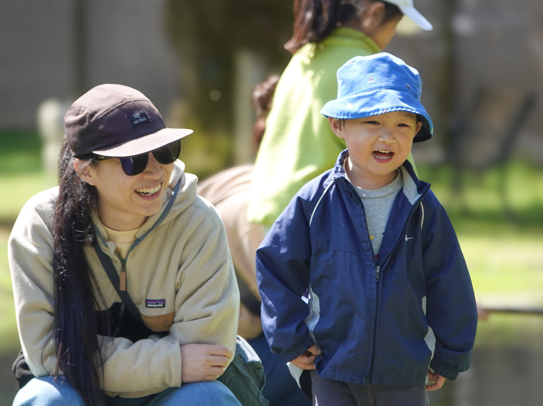 Silverbrook Farm Inc景点图片