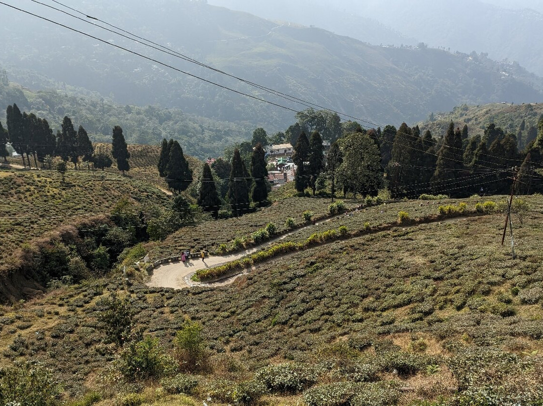 Happy Valley Tea Estate-大吉岭必去景点
