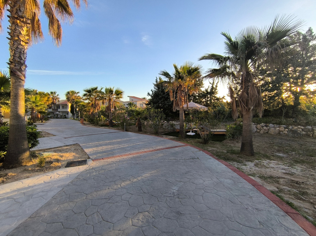 Antimachia酒店住宿-Achilleas Beach Hotel