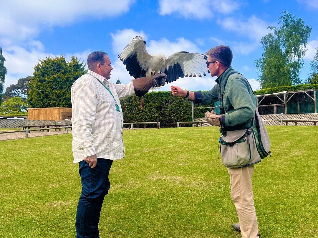 Thirsk Birds Of Prey Centre景点图片