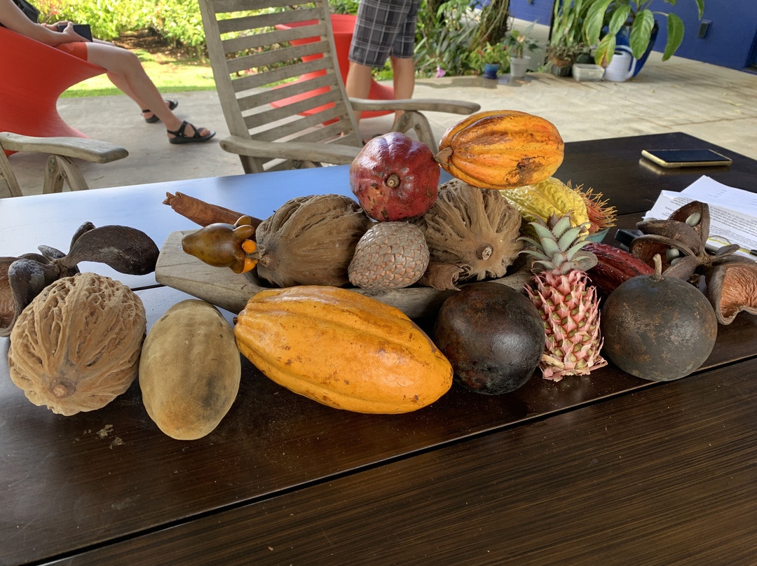 Hamakua Chocolate Farm景点图片