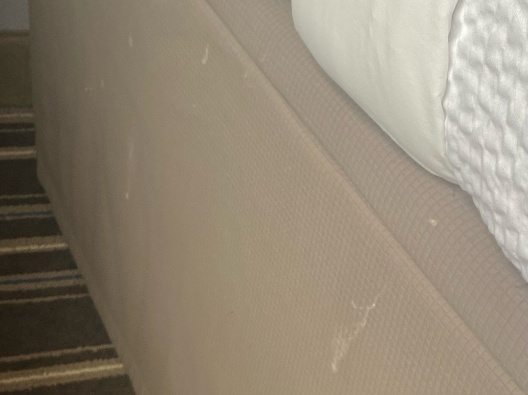 Microtel Inn & Suites by Wyndham Lynchburg主图