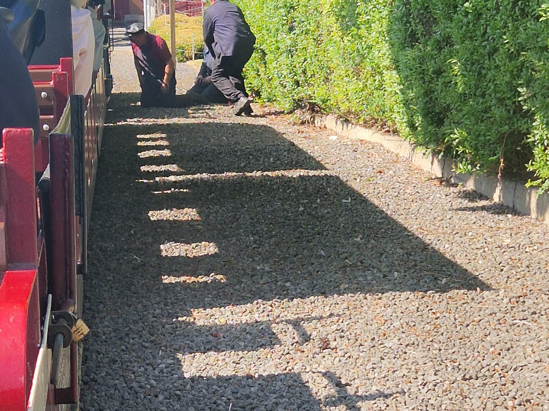 Cleethorpes Coast Light Railway-克利索普斯必去景点