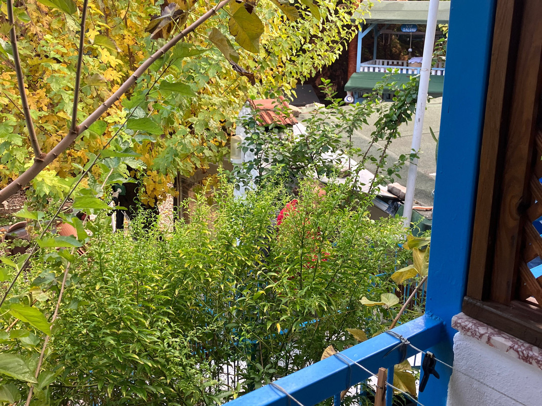 Harun Pansiyon主图