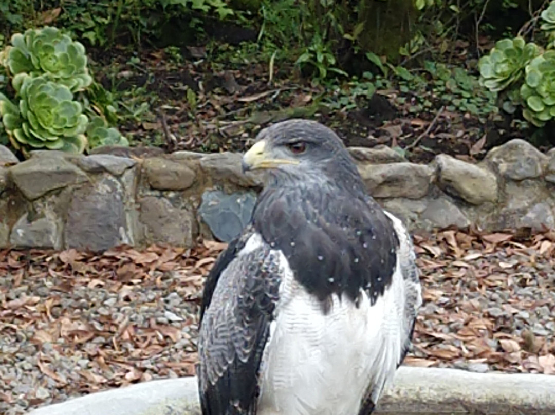 Condor Park-奥塔瓦洛必去景点